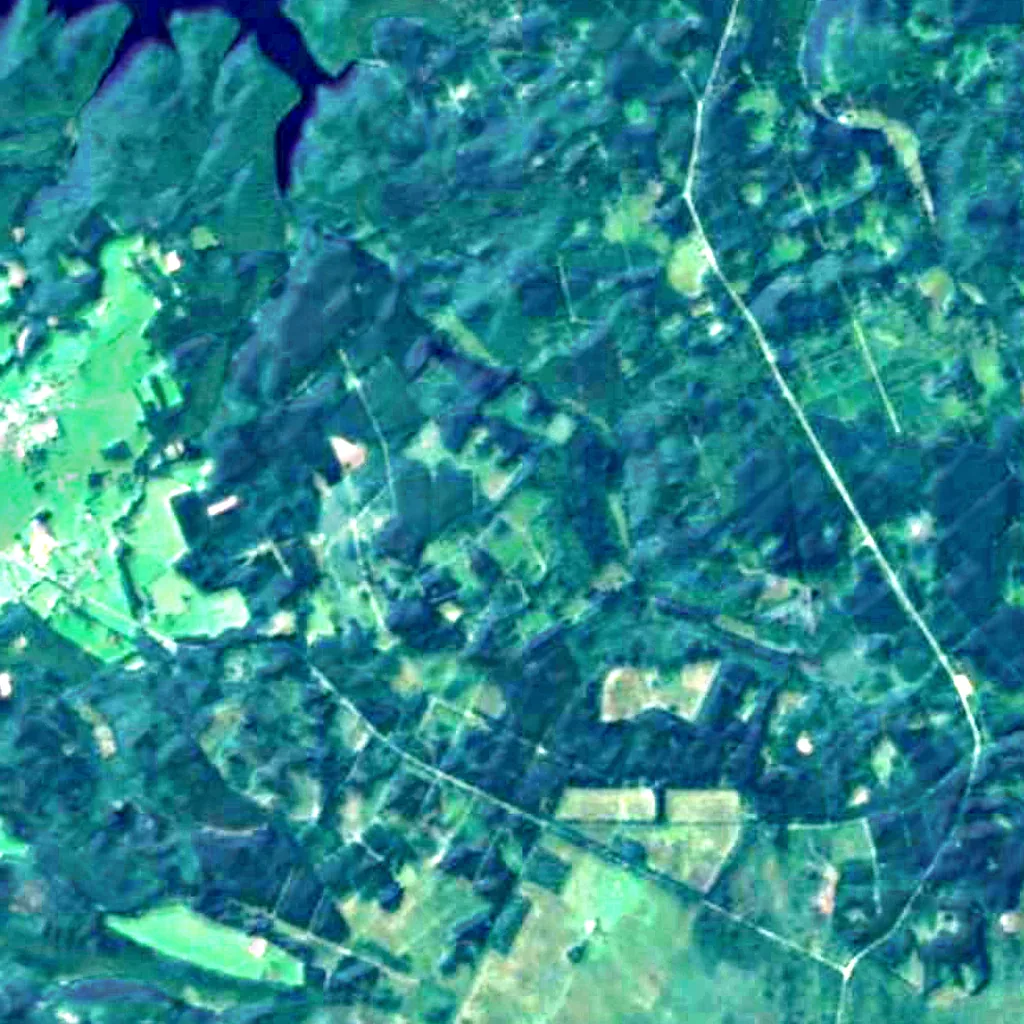 Hertogenwald seen from above (Sentinel-2)