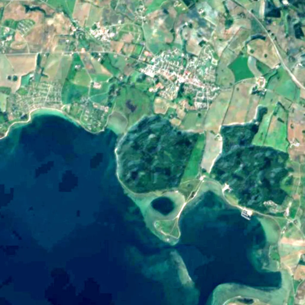 Hestehave Forest seen from above (Sentinel-2)