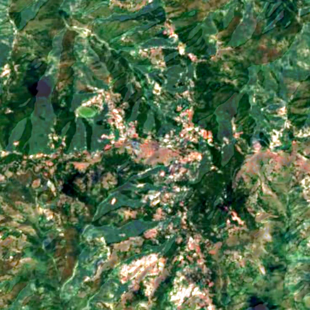 Himalayan subtropical pine forests seen from above (Sentinel-2)