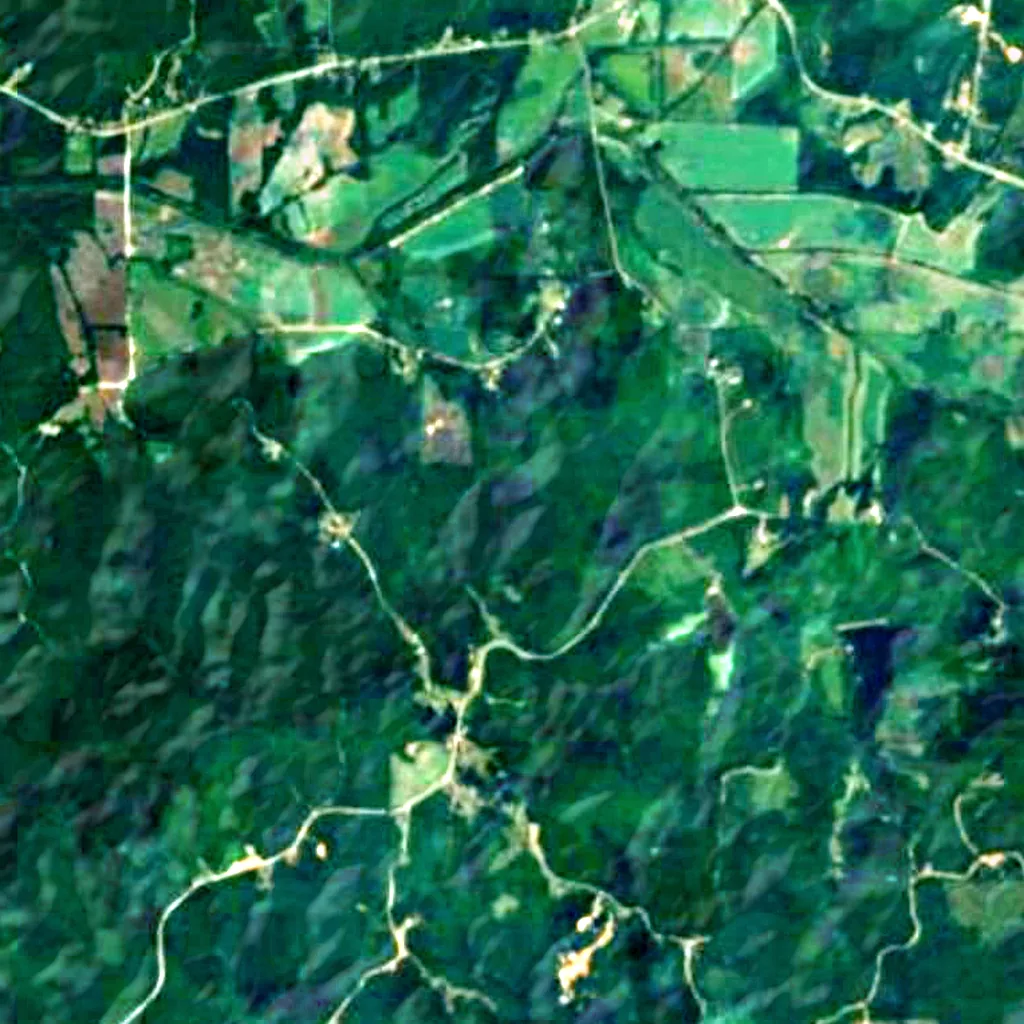 Holly Springs National Forest seen from above (Sentinel-2)