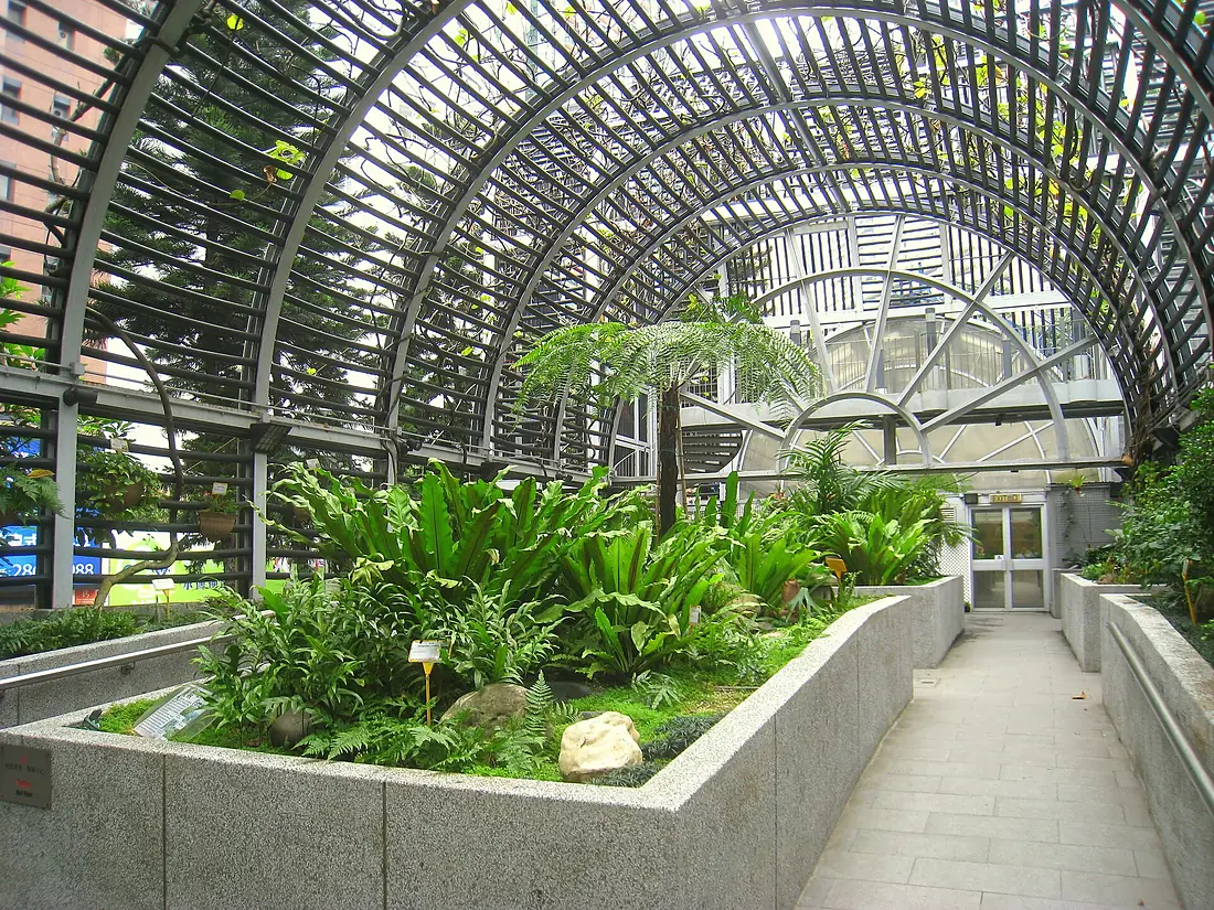 Hong Kong Botanical Gardens - IMG 9661