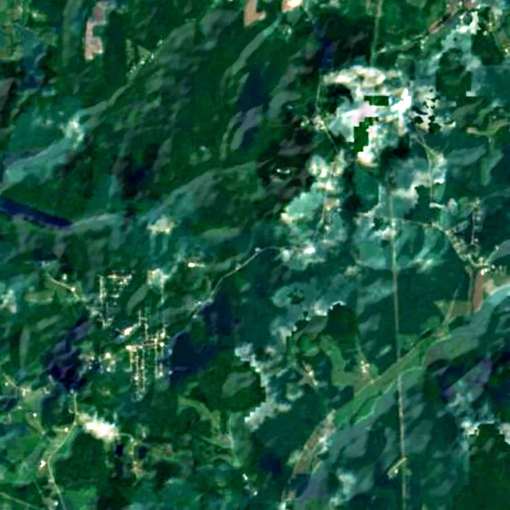 Hoosier National Forest seen from above (Sentinel-2)