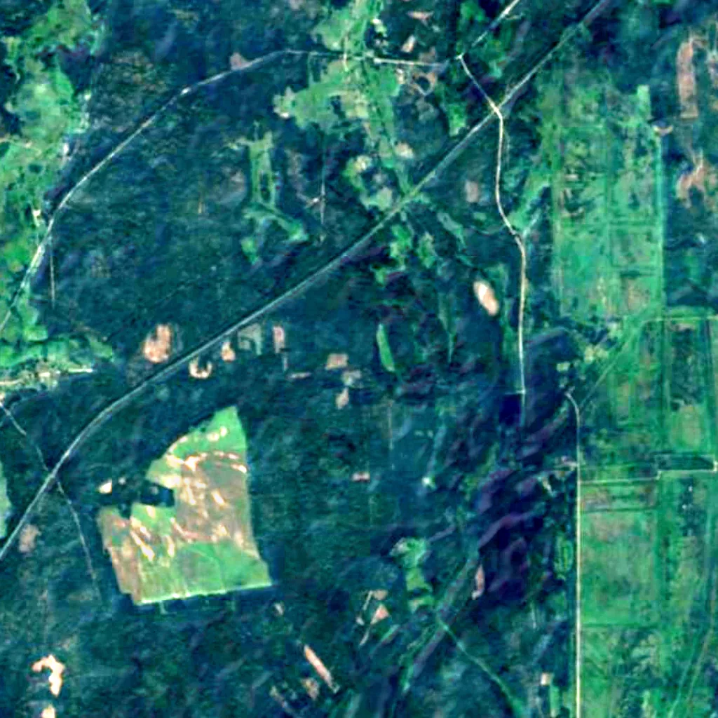 Hrodzenskaja pušča seen from above (Sentinel-2)