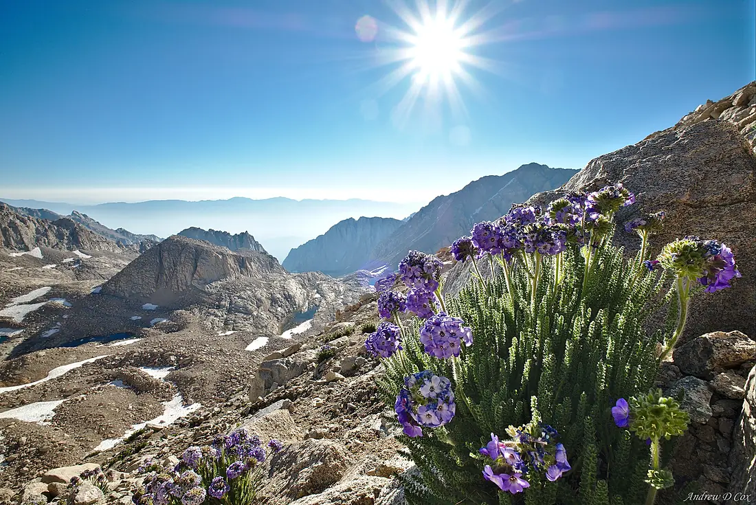 110810-FS-Inyo-AC-002 (38626050986)