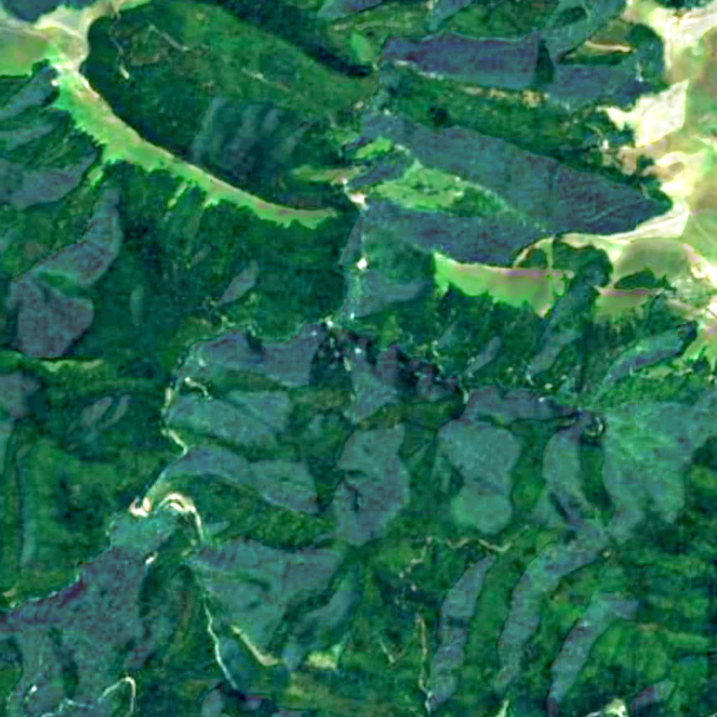 Irati Forest seen from above (Sentinel-2)