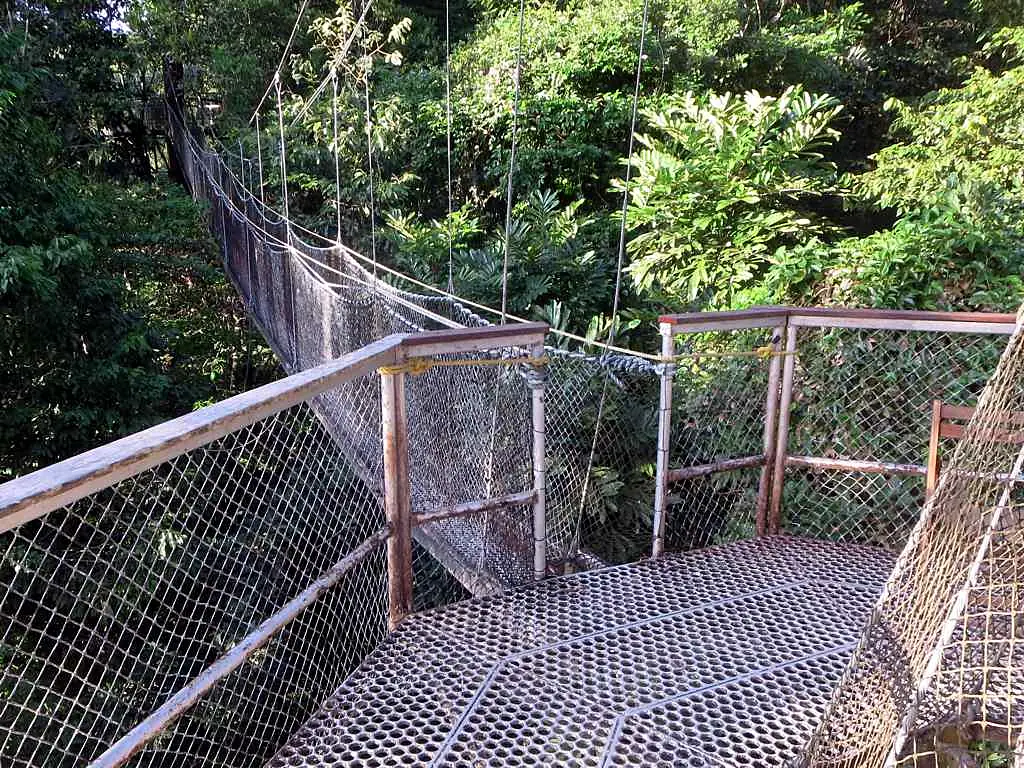 Iwokrama Canopy Walkway (13929717907)