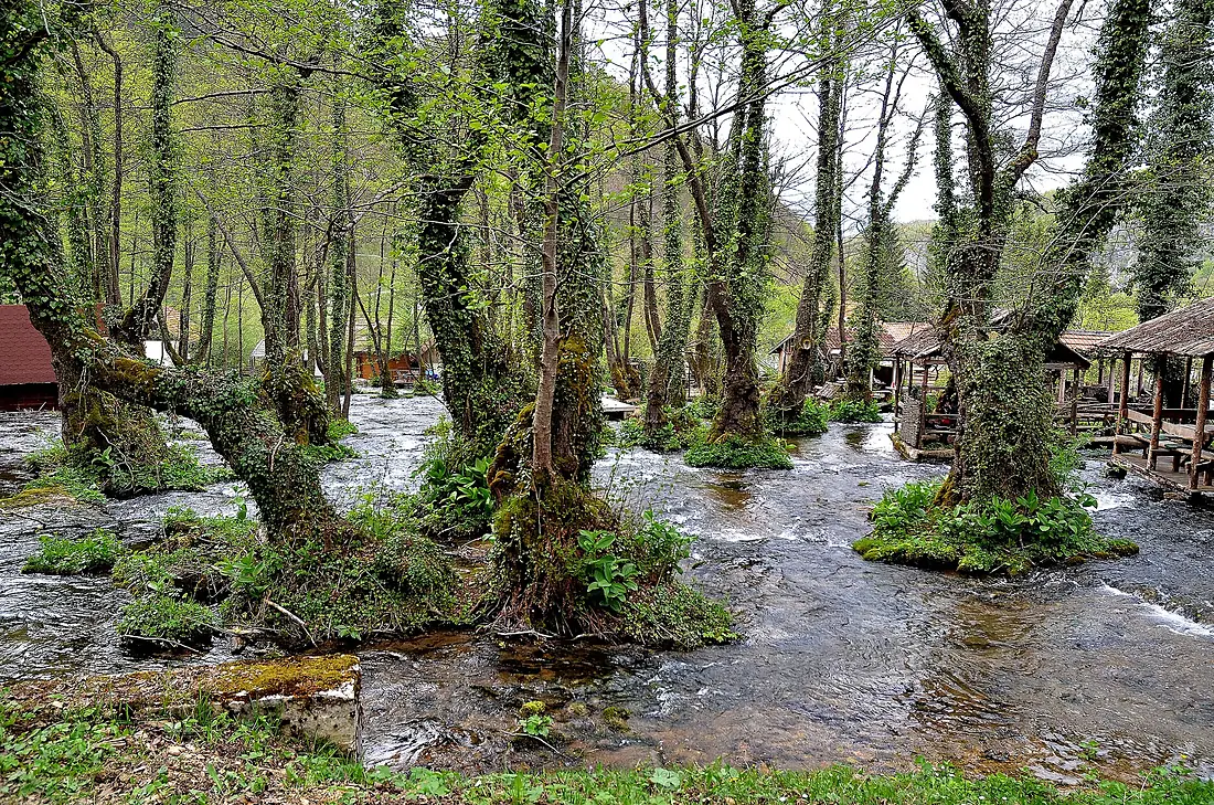 Prašuma Janj II