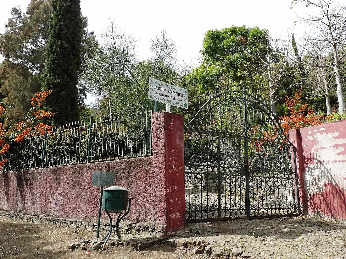 São Jorge dos Órgãos-Jardin botanique national Grandvaux Barbosa (4)