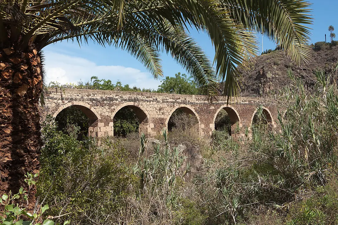 Jardín Botánico Canario Viera y Clavijo - Gran Canaria - 02