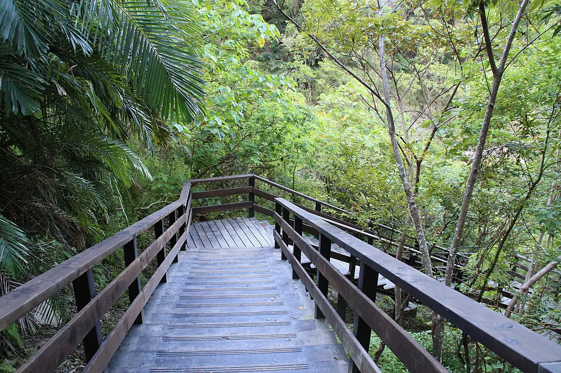 2010 07 17320 5853 Beinan Township, Taiwan, Jhihben National Forest Recreation Area, Walking paths