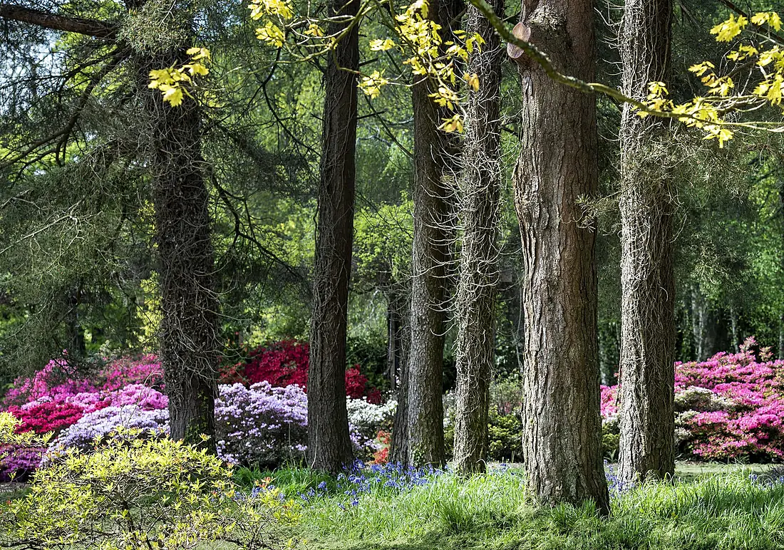 JFK Arboretum-3