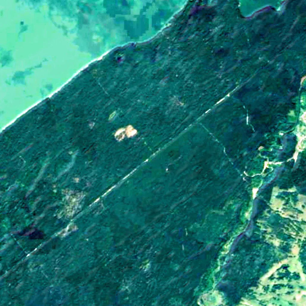 Karakan Pine Forest seen from above (Sentinel-2)