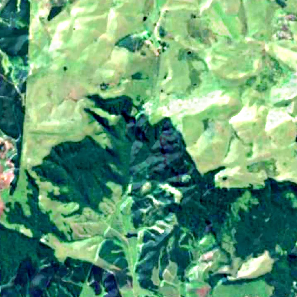 Karkloof Forest seen from above (Sentinel-2)