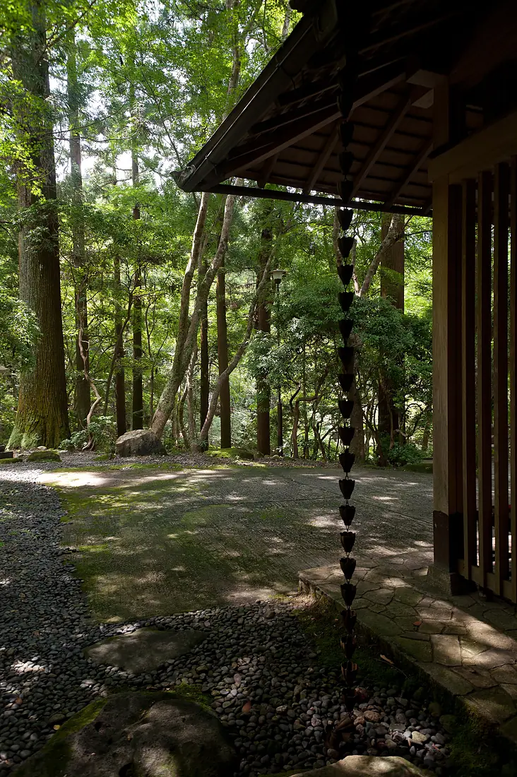 Japan, Nara - Kasugayama primeval forest 2011 2