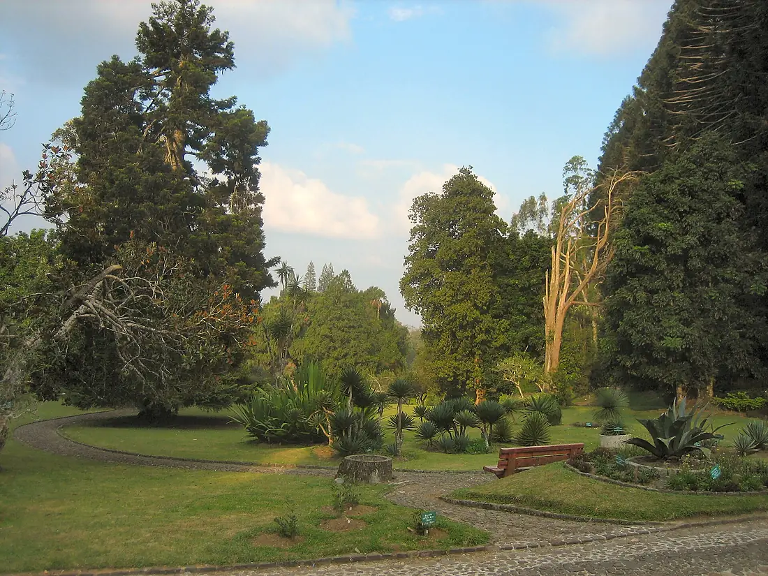 Botanical garden - Cibodas - Indonesia 4