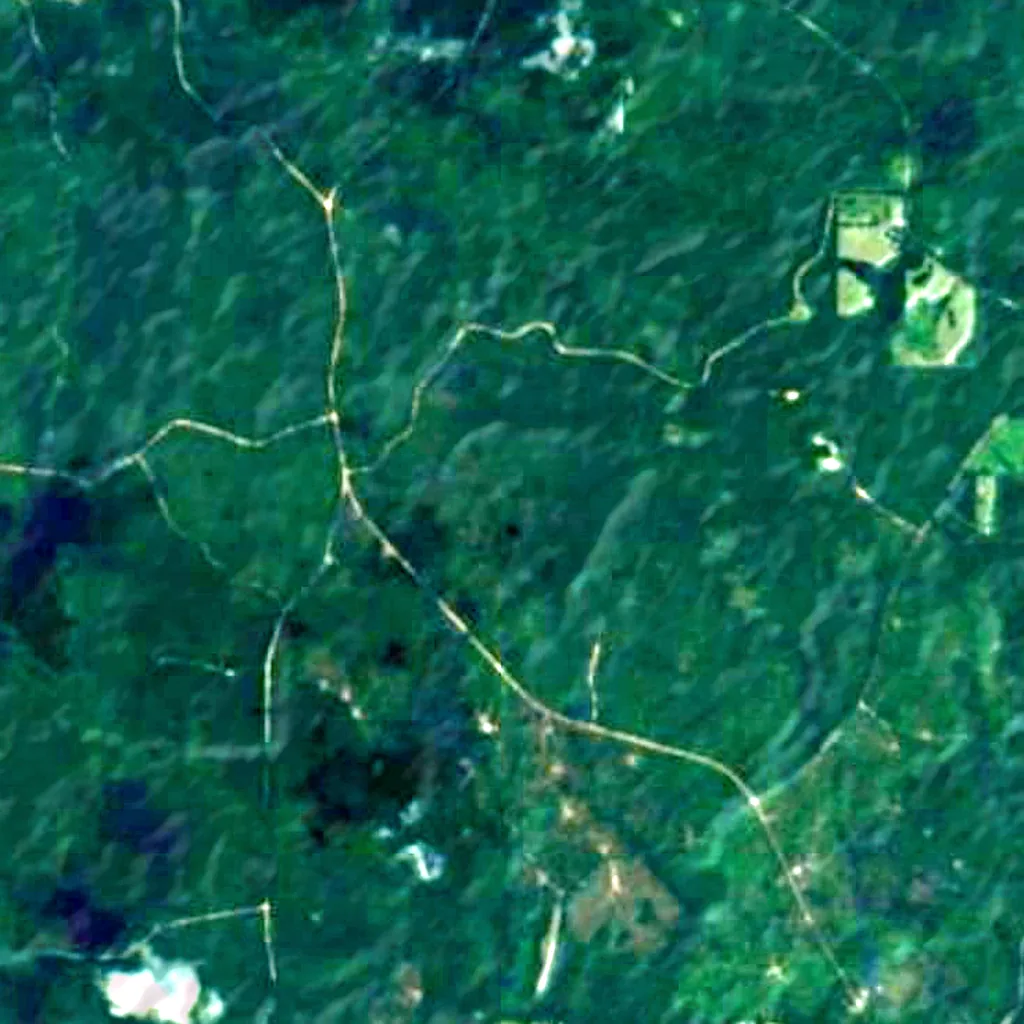 Kisatchie National Forest seen from above (Sentinel-2)