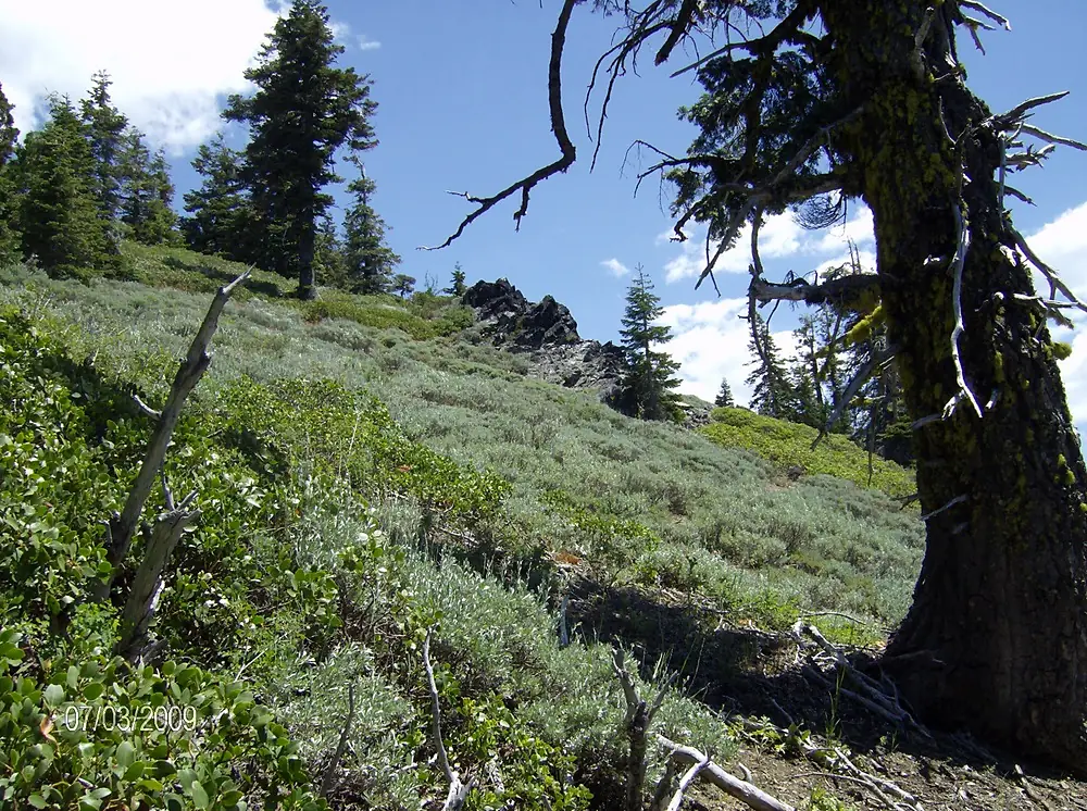 Pacific Crest Trail - panoramio