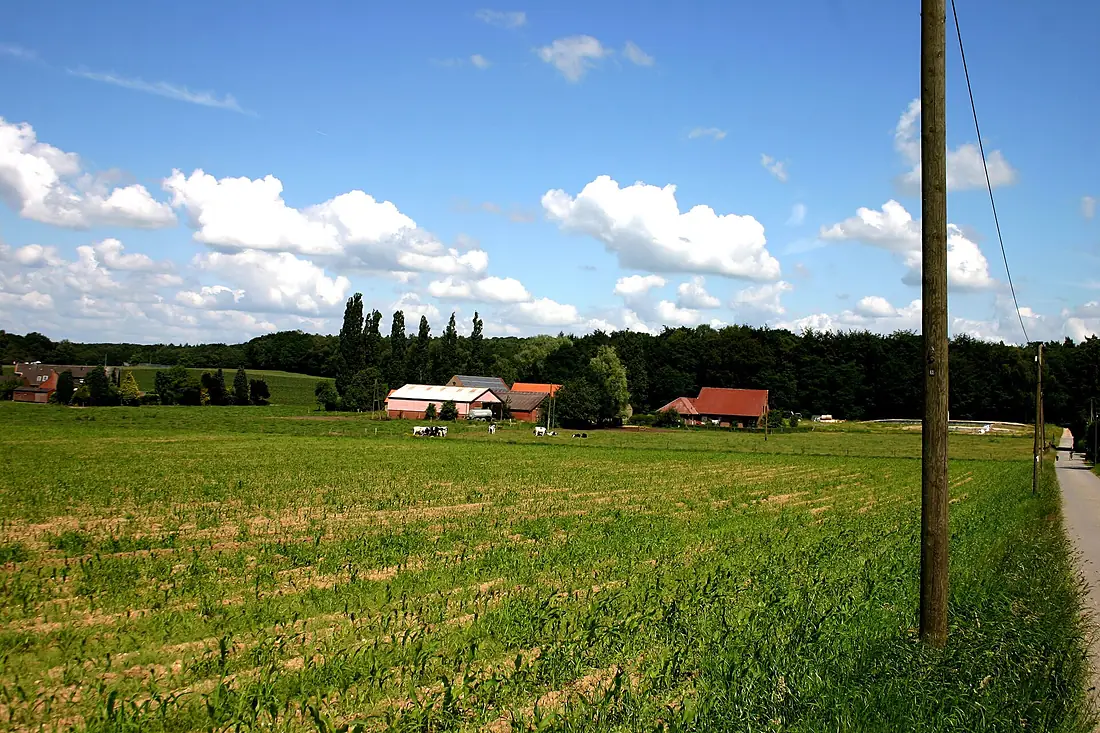 Landschaft am Waldkamp, Kranenburg-Nütterden