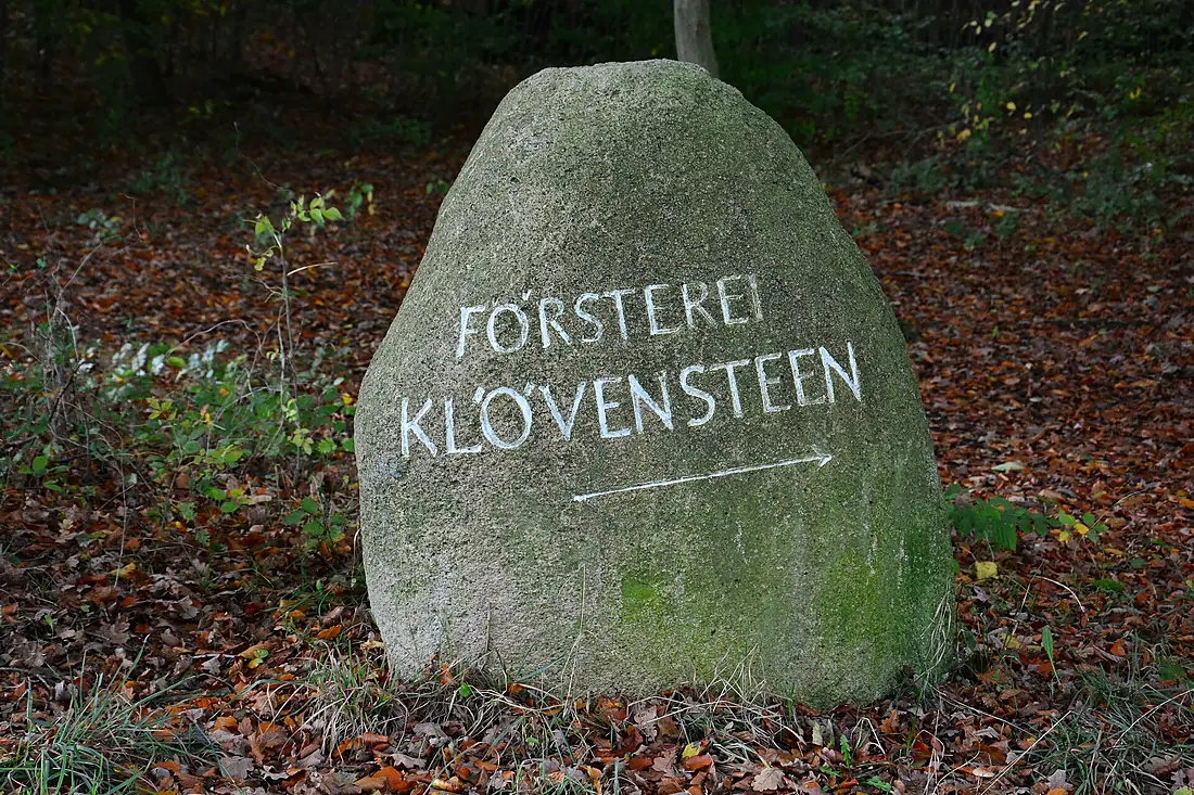Geschiebestein Försterei Klövensteen 01