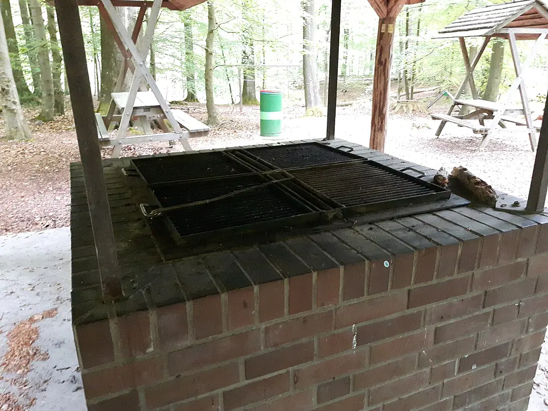 Freizeitlichtung Erholungswald Wassersleben