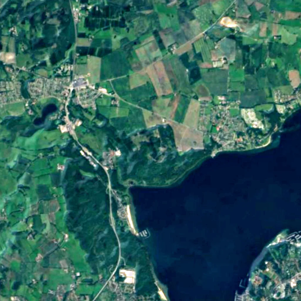 Kollund Forest seen from above (Sentinel-2)
