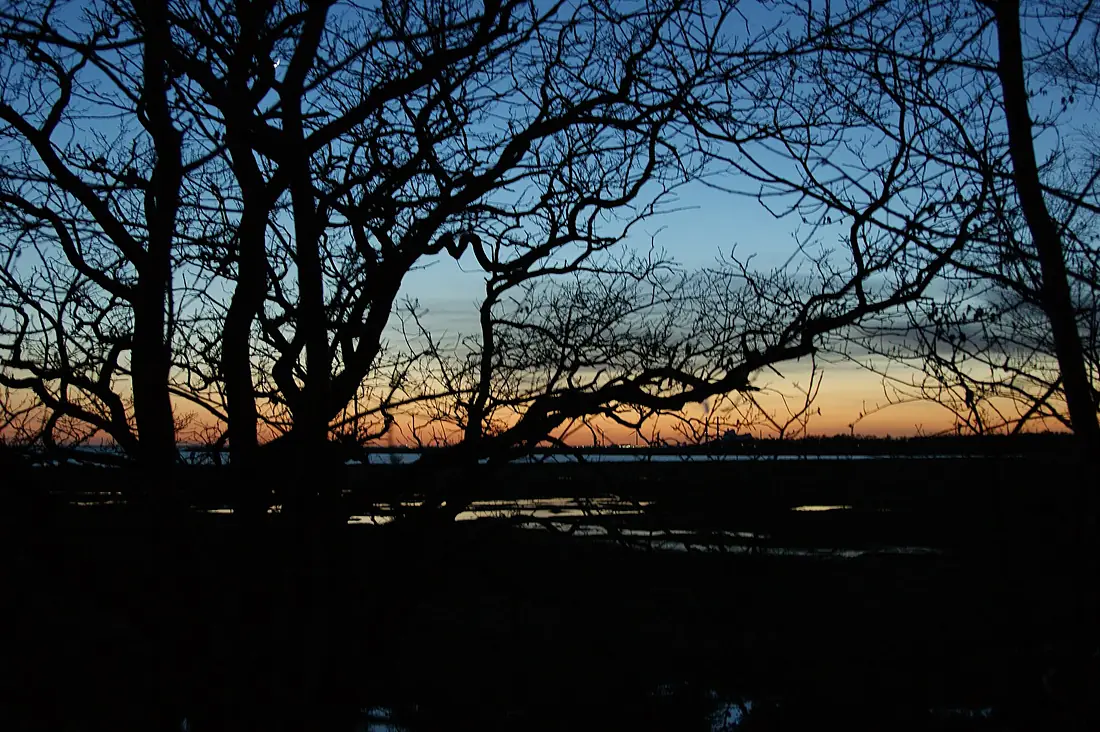 After sunset - Kongelunden - panoramio