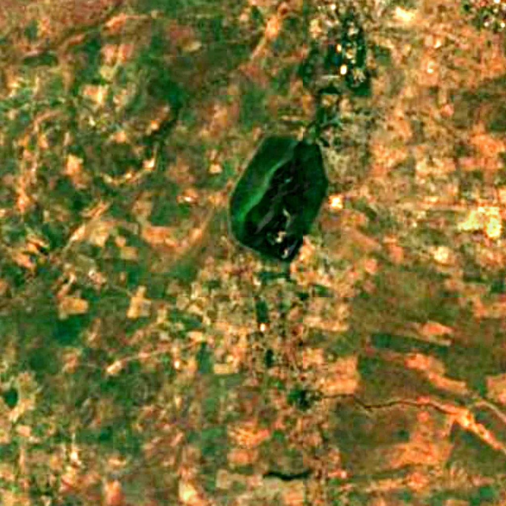 Kou Classified Forest seen from above (Sentinel-2)