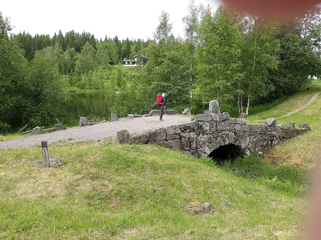 02 Krokskogen
