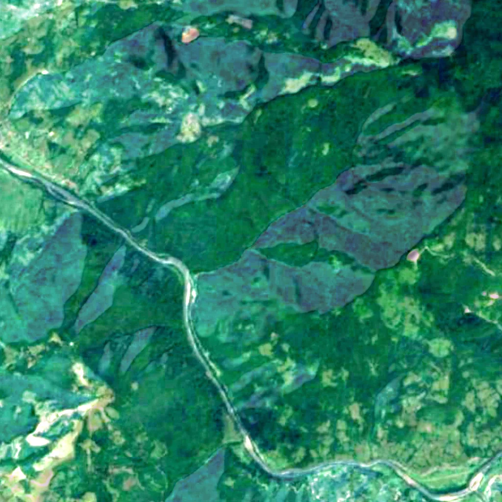 Kuzii protected area seen from above (Sentinel-2)