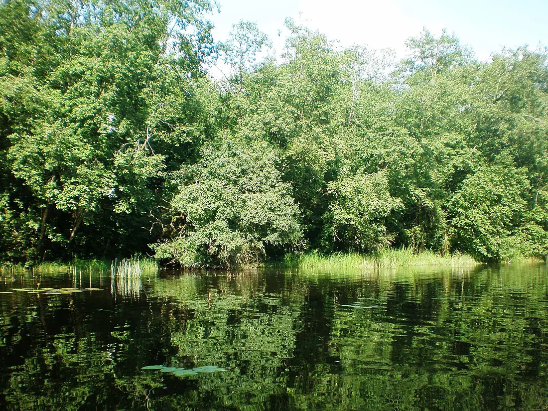 Labūnavos tvenkinys5