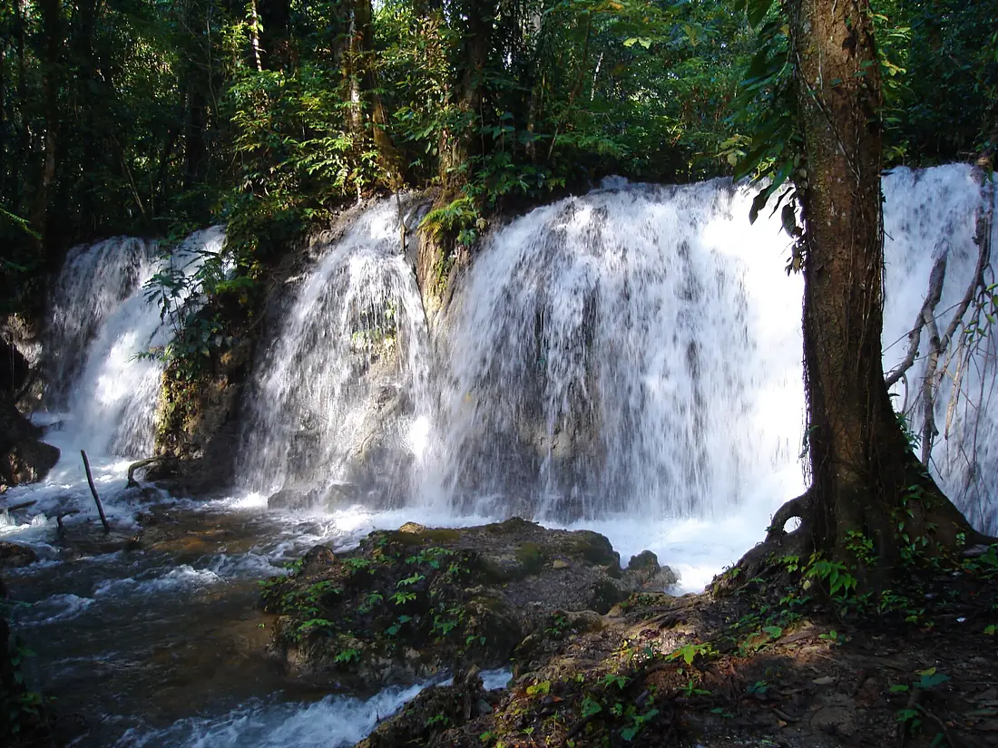 RIOS CRUZANDO LA SELVA LACANDONA