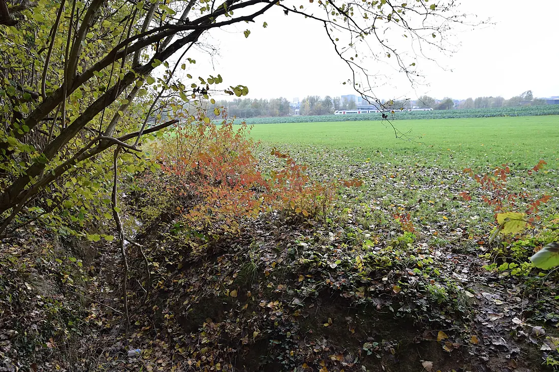 Laarbeekbos met veld en spoorweg