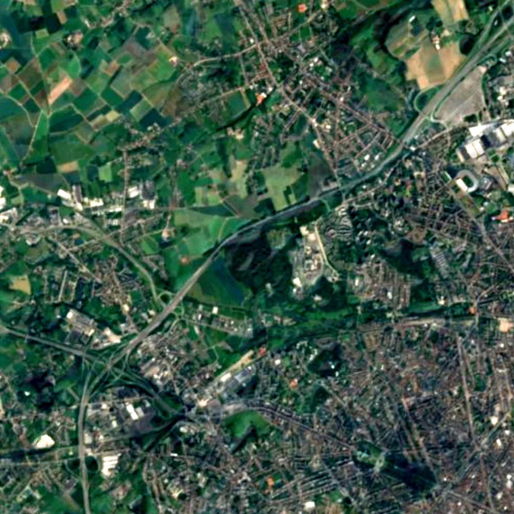 Laerbeek Wood seen from above (Sentinel-2)
