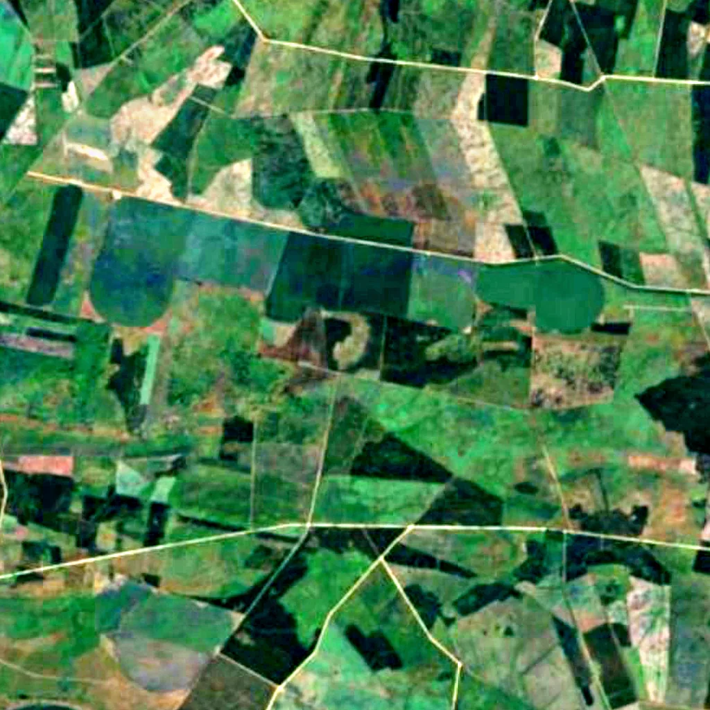 Landes forest seen from above (Sentinel-2)
