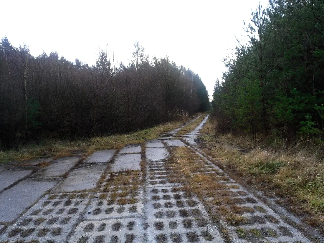01-Kolonnenweg-lappwald