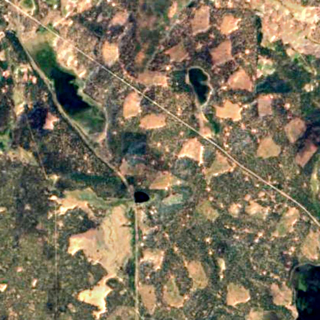Lassen National Forest seen from above (Sentinel-2)