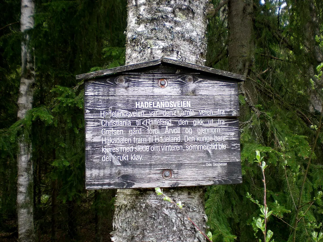 Hadelandsveien