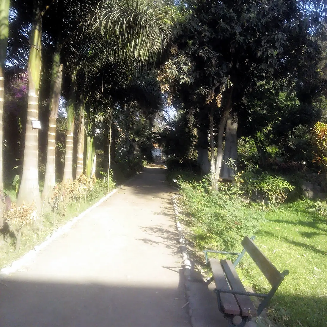 Jardín botánico de Lima