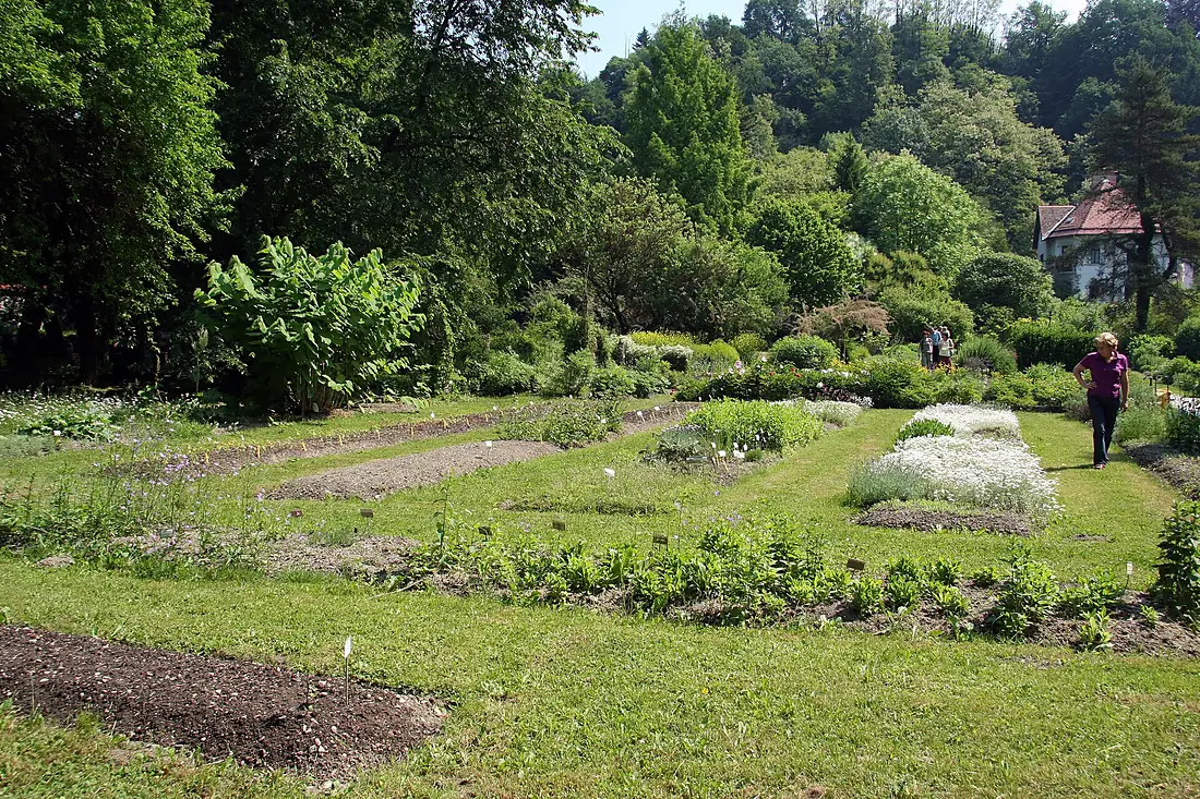 Ljubljana Botanic Garden - plant system