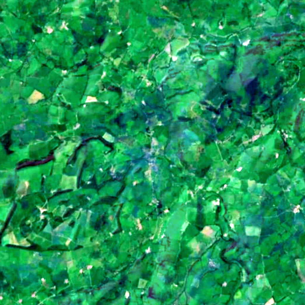 Llangernyw Yew seen from above (Sentinel-2)
