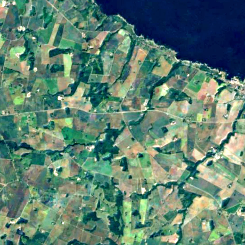 Louisenlund seen from above (Sentinel-2)