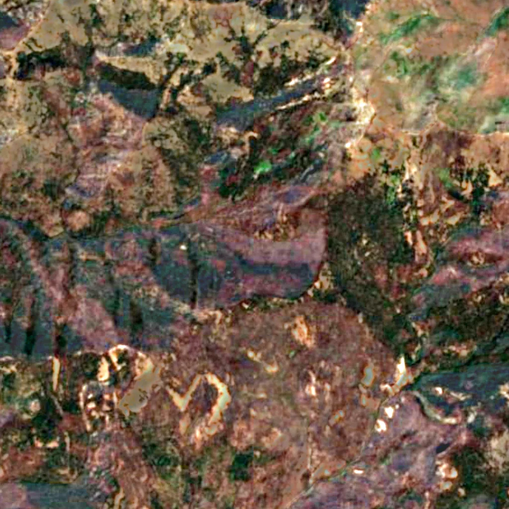 Malheur National Forest seen from above (Sentinel-2)