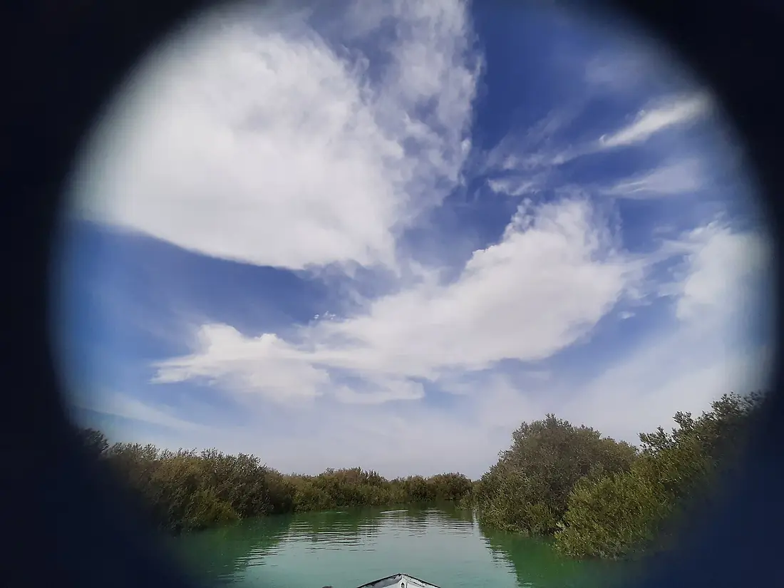 Hara forests of Qeshm - 1