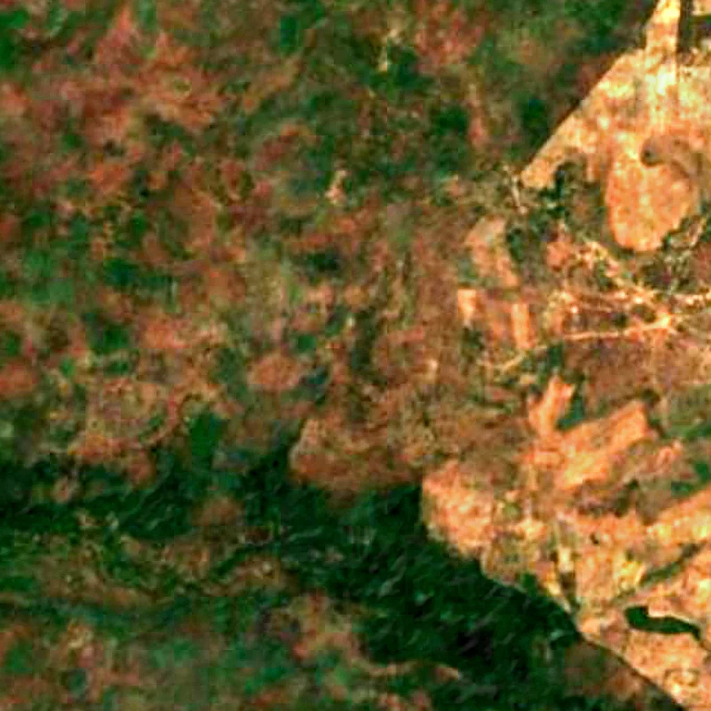 Mare aux Hippopotames seen from above (Sentinel-2)