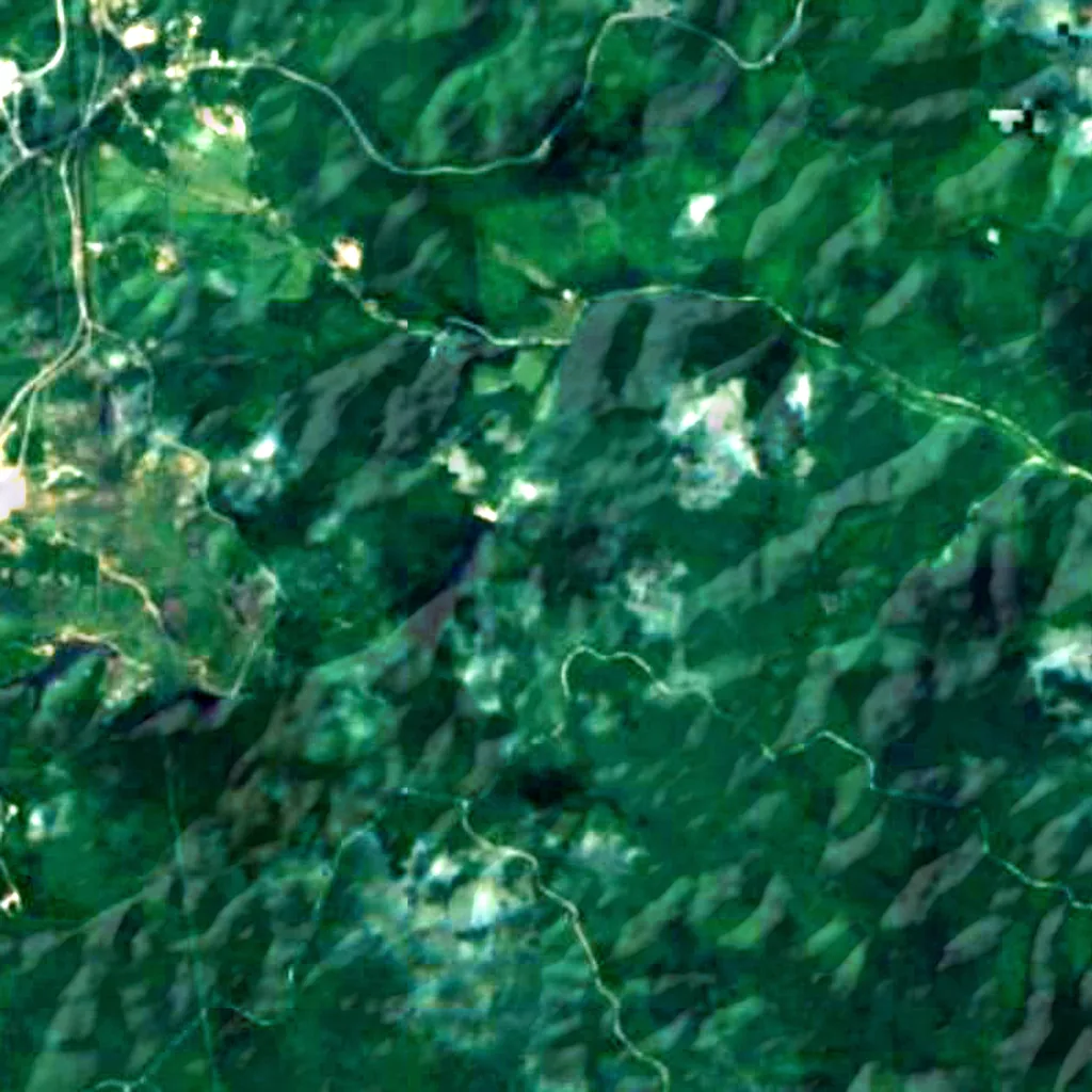 Mark Twain National Forest seen from above (Sentinel-2)