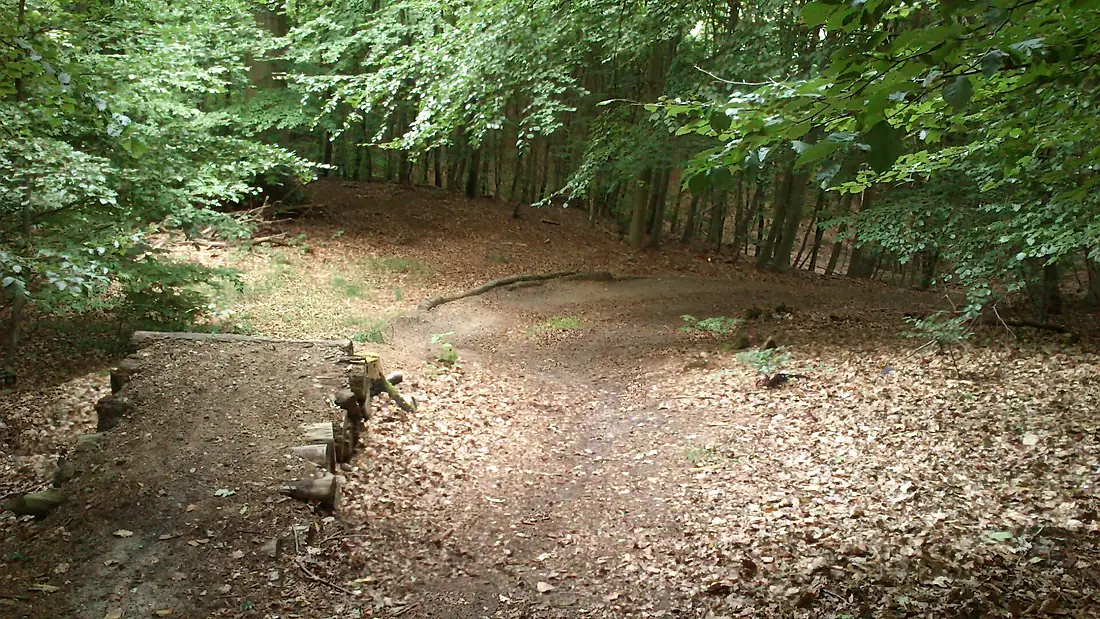 Thors Skov (Mountainbike)