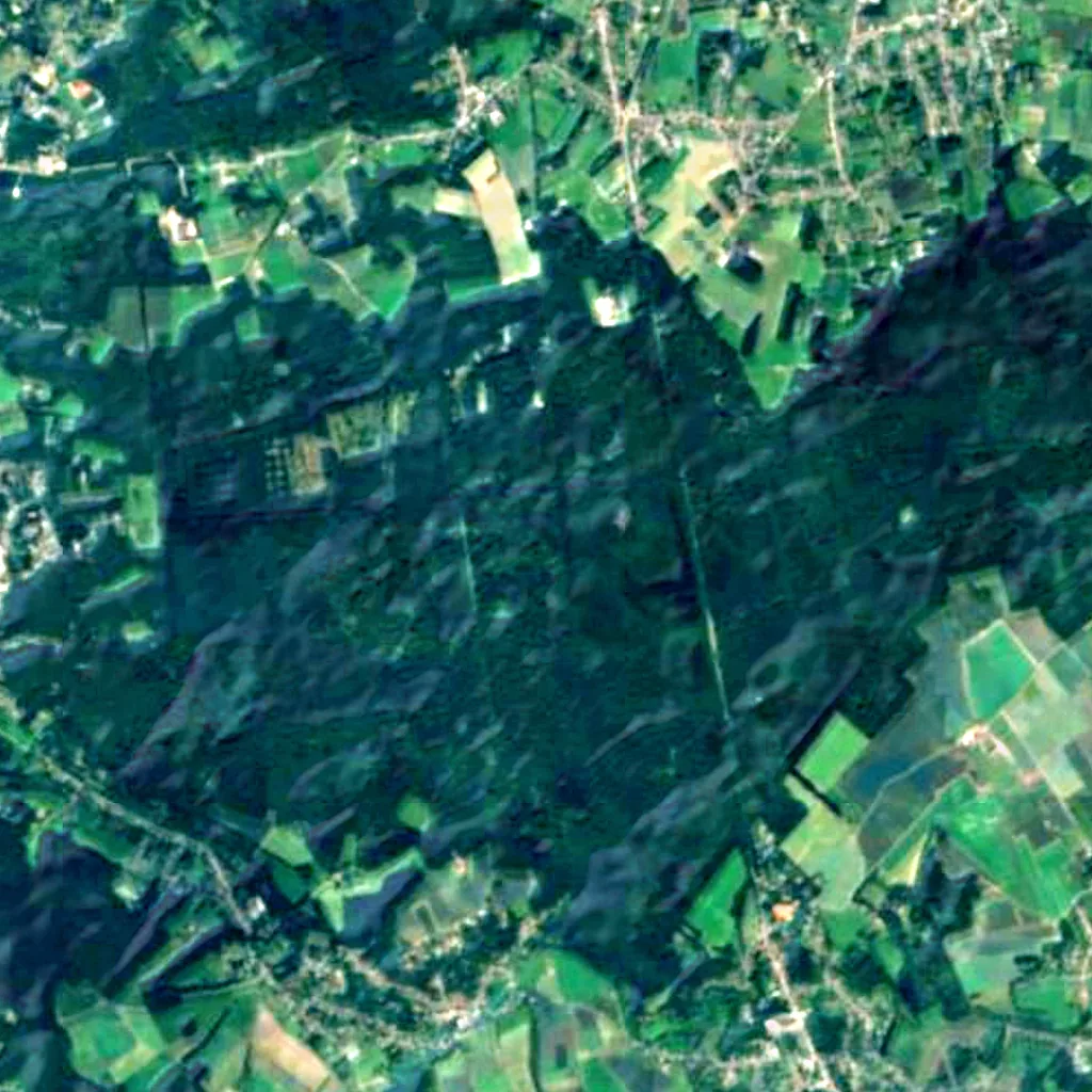 Meerdaal seen from above (Sentinel-2)
