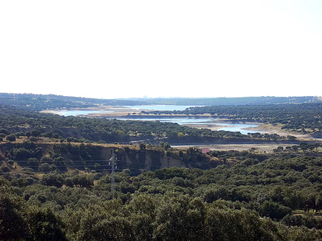 Monte de el Pardo (3267248078)