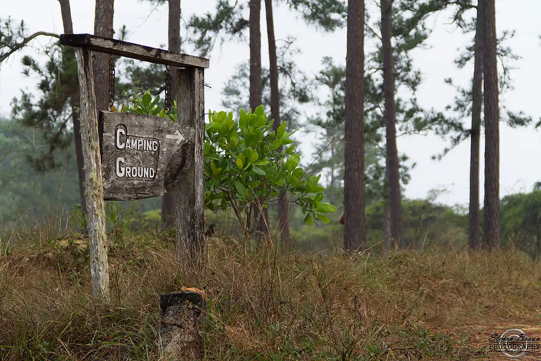 Campground - panoramio (1)