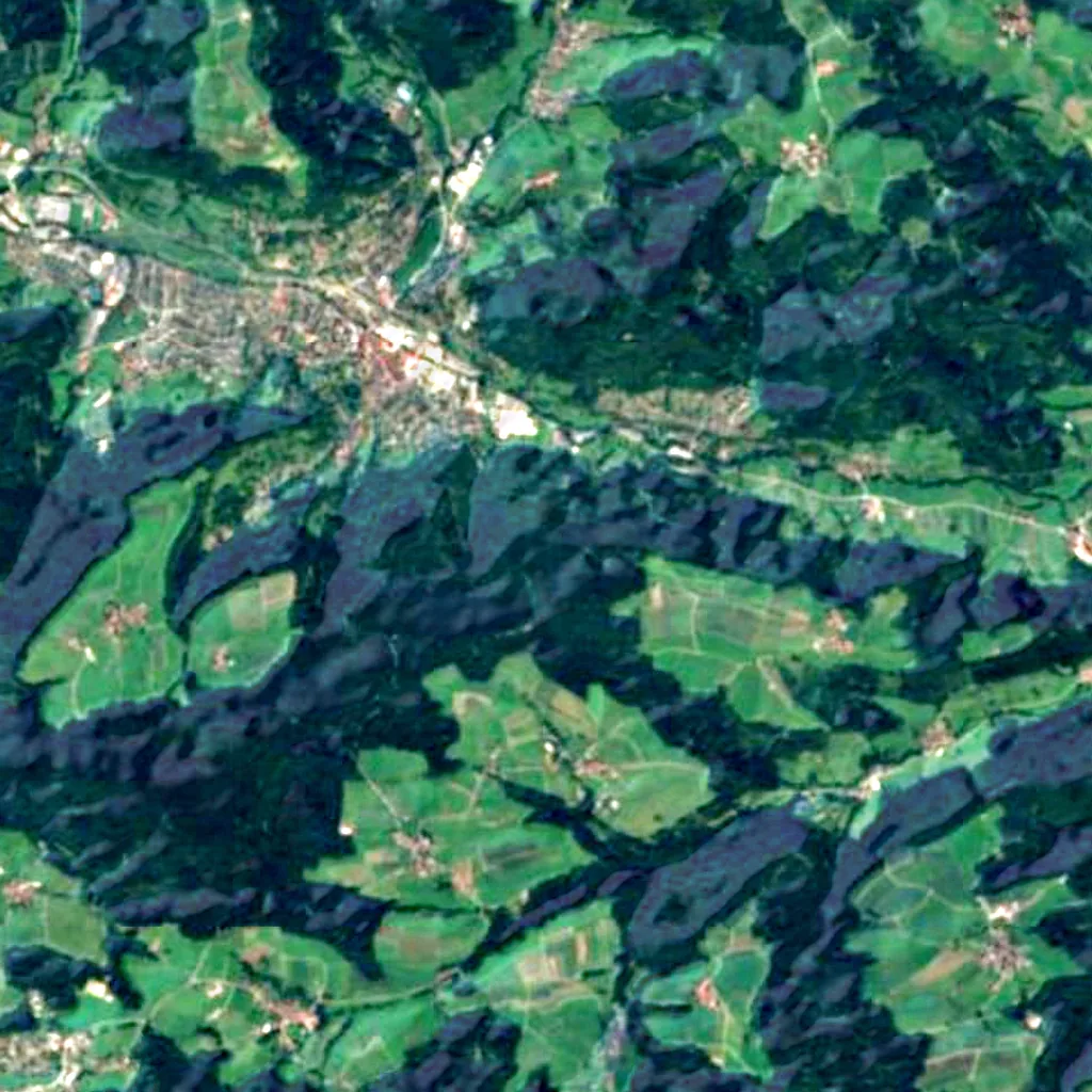Murrhardt Forest seen from above (Sentinel-2)